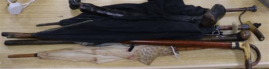 A collection of umbrellas, walking sticks and a club